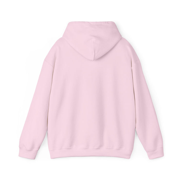 Read Books. Cuddle Cats. Fight Fascists. Hoodie Printify
