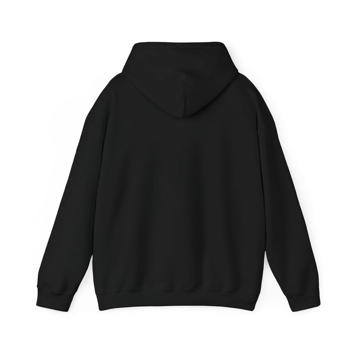 Read Books. Cuddle Cats. Fight Fascists. Hoodie Printify