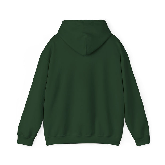 Read Books. Cuddle Cats. Fight Fascists. Hoodie Printify